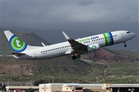 ©Alfonso Solís - Asociación Canary Islands Spotting. Click to see full size photo ©Alfonso Solís - Asociación Canary Islands Spotting. Click to see full size photo