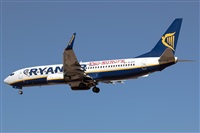 Bartolom Fernndez - Gran Canaria Spotters. Click to see full size photo