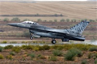 ©Adolfo Bento - Gran Canaria Spotters. Click to see full size photo ©Adolfo Bento - Gran Canaria Spotters. Click to see full size photo