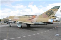 Alfonso Sols - Asociacin Canary Islands Spotting. Click to see full size photo
