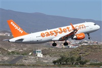 Alfonso Sols - Asociacin Canary Islands Spotting. Haz click para ampliar
