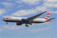 Miguel A. gueda Rguez.  (CANARY ISLANDS SPOTTING). Click to see full size photo