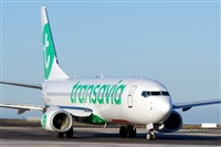 Saimon J Rodriguez   -   Canary Islands Spotting. Click to see full size photo