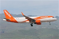 ©Adolfo Bento - Gran Canaria Spotters. Click to see full size photo ©Adolfo Bento - Gran Canaria Spotters. Click to see full size photo