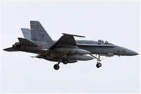 David Manuel Tobarra Ruiz - Spotters Murcia. Click to see full size photo