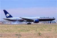 Miguel A. gueda Rguez.  (CANARY ISLANDS SPOTTING). Click to see full size photo
