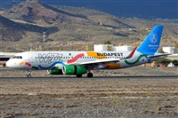Miguel A. gueda Rguez.  (CANARY ISLANDS SPOTTING). Click to see full size photo