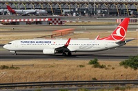 ©Alfonso Solís - Asociación Canary Islands Spotting. Click to see full size photo ©Alfonso Solís - Asociación Canary Islands Spotting. Click to see full size photo