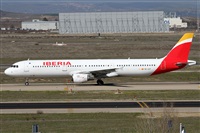 ©Alfonso Solís - Asociación Canary Islands Spotting. Click to see full size photo ©Alfonso Solís - Asociación Canary Islands Spotting. Click to see full size photo