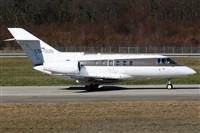 La Roche Spotters. Click to see full size photo