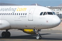 ©Adolfo Bento - Gran Canaria Spotters. Click to see full size photo ©Adolfo Bento - Gran Canaria Spotters. Click to see full size photo
