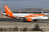 Alfonso Sols - Asociacin Canary Islands Spotting. Click to see full size photo