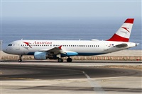 Alfonso Sols - Asociacin Canary Islands Spotting. Click to see full size photo