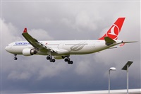 Miguel A. gueda Rguez.  (CANARY ISLANDS SPOTTING). Click to see full size photo