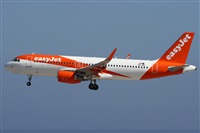 Alfonso Sols - Asociacin Canary Islands Spotting. Click to see full size photo