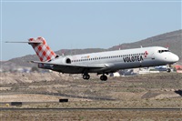 Alfonso Sols - Asociacin Canary Islands Spotting. Click to see full size photo