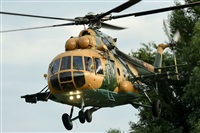 Tams. Click to see full size photo