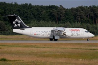 Miguel A. gueda Rguez.  (CANARY ISLANDS SPOTTING). Click to see full size photo