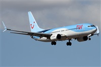 Alfonso Sols - Asociacin Canary Islands Spotting. Click to see full size photo