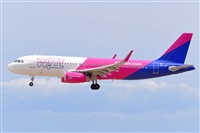 Miguel A. gueda Rguez.  (CANARY ISLANDS SPOTTING). Click to see full size photo