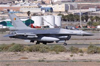 Alfonso Sols - Asociacin Canary Islands Spotting. Click to see full size photo