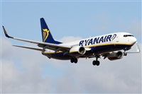 Alfonso Sols - Asociacin Canary Islands Spotting. Haz click para ampliar