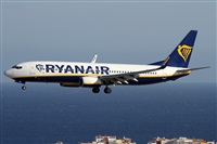 Alfonso Sols - Asociacin Canary Islands Spotting. Haz click para ampliar