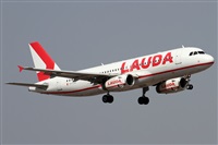 Alfonso Sols - Asociacin Canary Islands Spotting. Click to see full size photo
