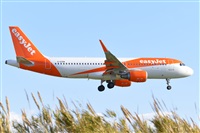Miguel A. gueda Rguez.  (CANARY ISLANDS SPOTTING). Click to see full size photo