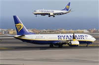 Miguel A. gueda Rguez.  (CANARY ISLANDS SPOTTING). Click to see full size photo