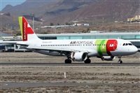 ©Alfonso Solís - Asociación Canary Islands Spotting. Click to see full size photo ©Alfonso Solís - Asociación Canary Islands Spotting. Click to see full size photo