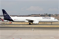 Alfonso Sols - Asociacin Canary Islands Spotting. Haz click para ampliar