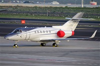 Miguel A. gueda Rguez.  (CANARY ISLANDS SPOTTING). Click to see full size photo