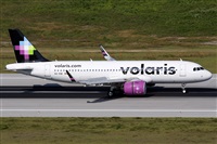 La Roche Spotters. Click to see full size photo