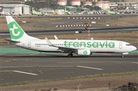 ©Adolfo Bento - Gran Canaria Spotters. Click to see full size photo ©Adolfo Bento - Gran Canaria Spotters. Click to see full size photo