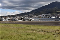 La Roche Spotters. Click to see full size photo