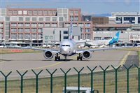 Miguel A. gueda Rguez.  (CANARY ISLANDS SPOTTING). Haz click para ampliar