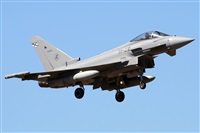 Alfonso Sols - Asociacin Canary Islands Spotting. Haz click para ampliar
