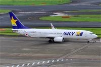 Miguel A. gueda Rguez.  (CANARY ISLANDS SPOTTING). Click to see full size photo