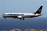 Alfonso Sols - Asociacin Canary Islands Spotting. Click to see full size photo