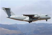 ©Alejandro H.L - Gran Canaria Spotters. Click to see full size photo ©Alejandro H.L - Gran Canaria Spotters. Click to see full size photo