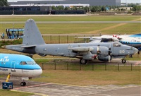 ©Javier Rodríguez. Click to see full size photo ©Javier Rodríguez. Click to see full size photo