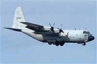 �Toni Marimon. Click to see full size photo