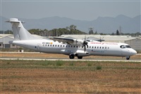 �Vicente Aguil�. Click to see full size photo