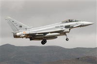 ©Adolfo Bento - Gran Canaria Spotters. Click to see full size photo ©Adolfo Bento - Gran Canaria Spotters. Click to see full size photo