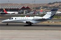 ©Alfonso Solís - Asociación Canary Islands Spotting. Click to see full size photo ©Alfonso Solís - Asociación Canary Islands Spotting. Click to see full size photo