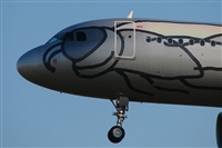 Rui Alves - Portugal Spotters. Click to see full size photo