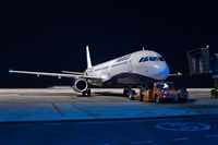 Javier de la Cruz - CANARY ISLANDS SPOTTING. Click to see full size photo
