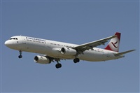 Jos Miguel Bernases - Noisy Spotters. Click to see full size photo