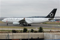 Chalo Canary Islands Spotting. Click to see full size photo